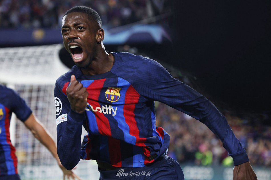 引进哈弗茨 引进哈弗茨